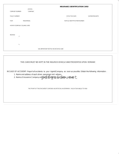 Fill Out a Valid Auto Insurance Card Form