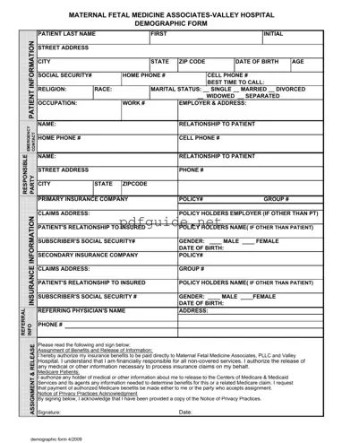 Fill Out a Valid Patient Demographics Form