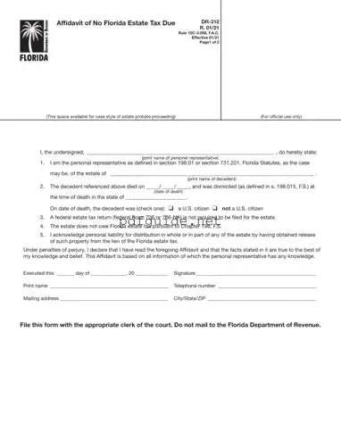 Fill Out a Valid Fl Dr 312 Form