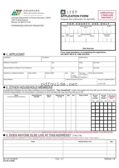 Fill Out a Valid Leap application IML-4 Form