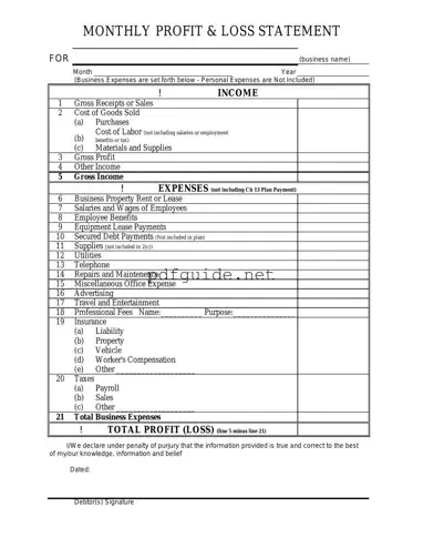 Fill Out a Valid Profit And Loss Form